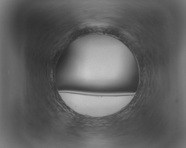 X0000070211061200605261056