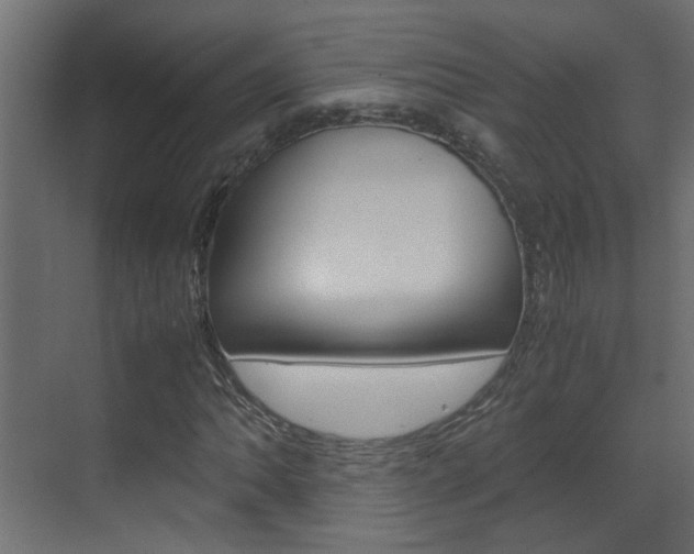 X0000070211062200605261056