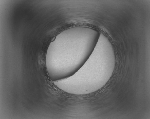 X0000070211063200605261056