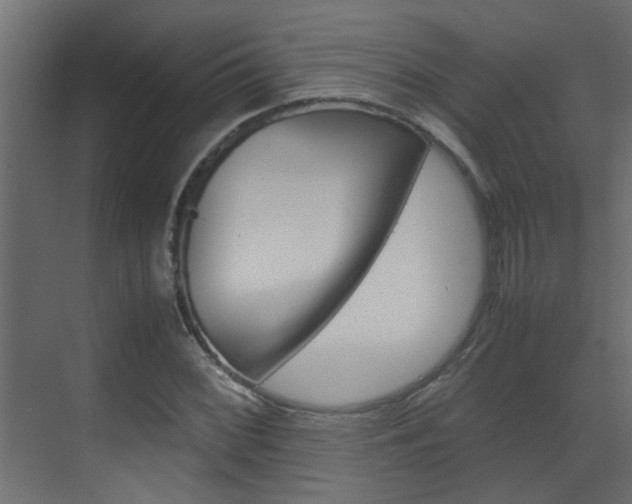 X0000070211068200605261056