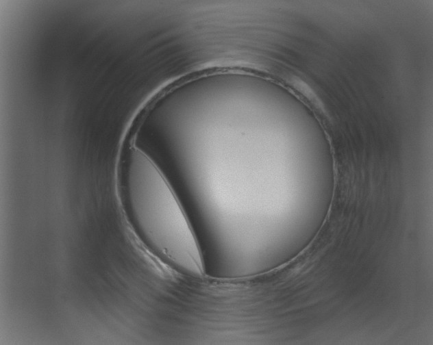 X0000070211076200605261056