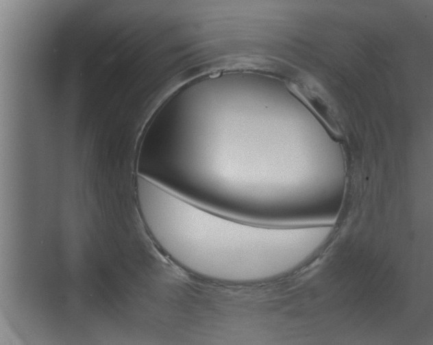 X0000070211089200605261056