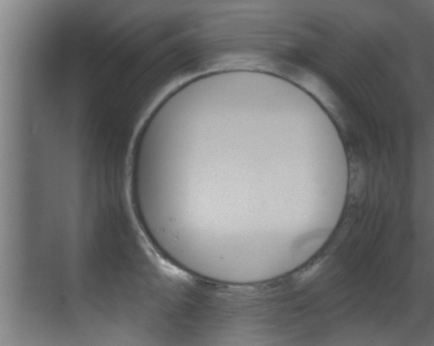 X0000070211094200605261055