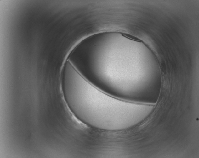 X0000070211102200605261055