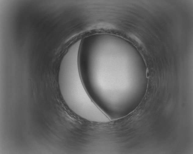 X0000070211112200605261055