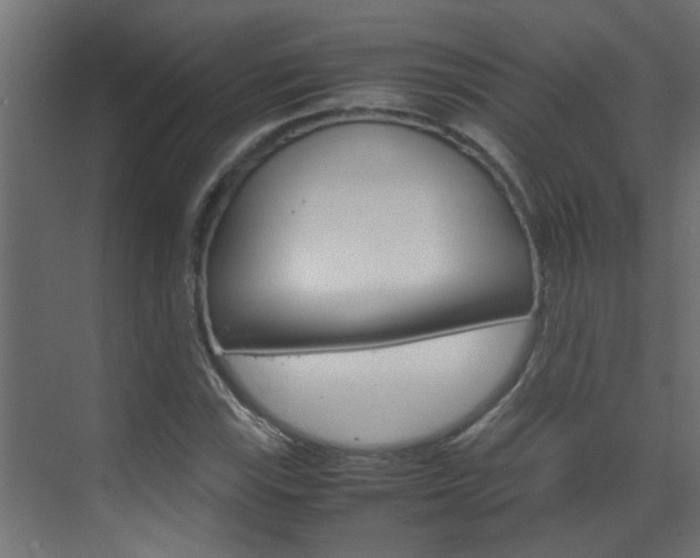 X0000070211115200605261055