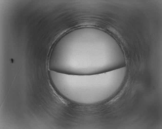 X0000070211121200605261055