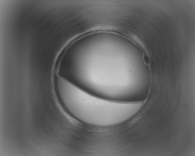 X0000070211124200605261055