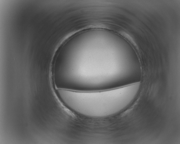 X0000070211133200605261055