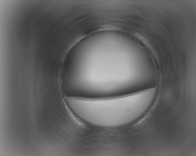 X0000070211137200605261055