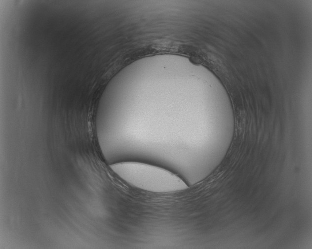 X0000070211154200605261054