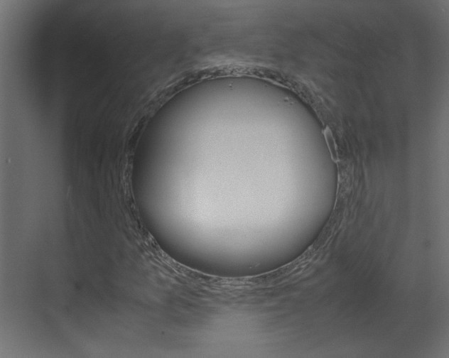 X0000070211157200605261054