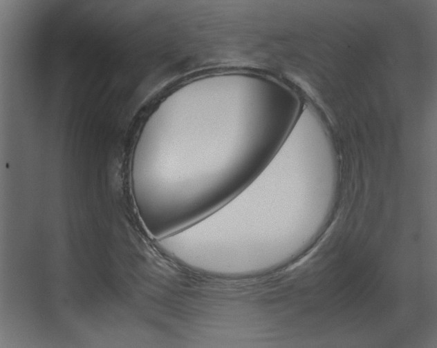 X0000070211163200605261054