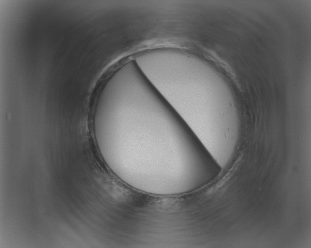 X0000070211166200605261054