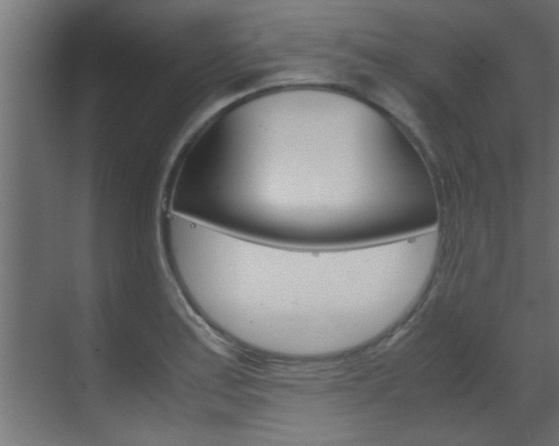X0000070211179200605261054