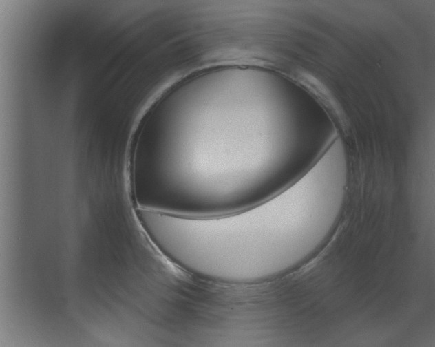 X0000070211188200605261054