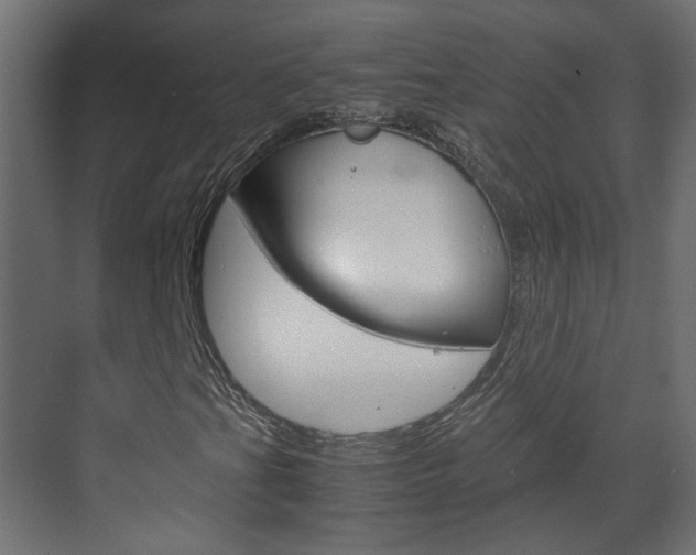 X0000070211201200605261053