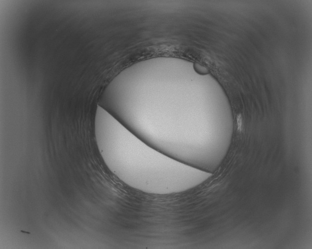 X0000070211203200605261053