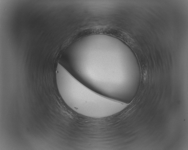X0000070211204200605261053