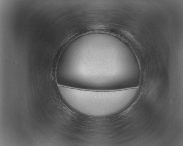X0000070211209200605261053