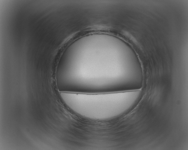 X0000070211213200605261053