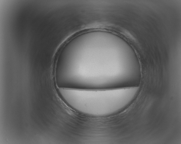 X0000070211216200605261053