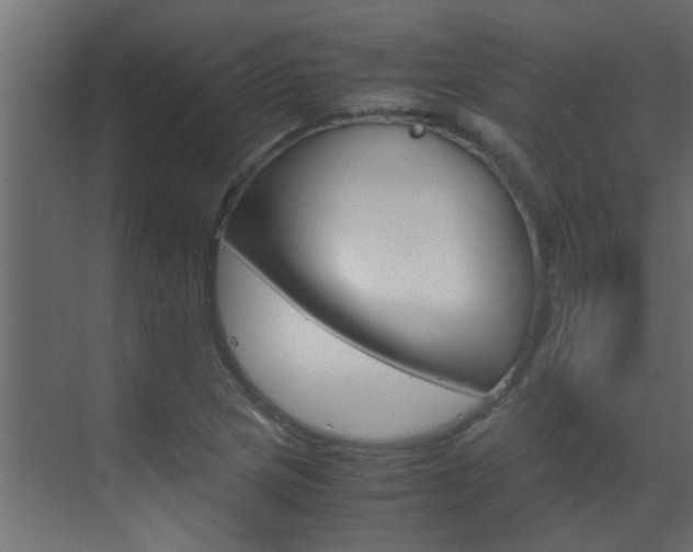 X0000070211217200605261053