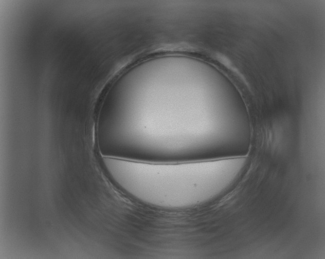 X0000070211221200605261053