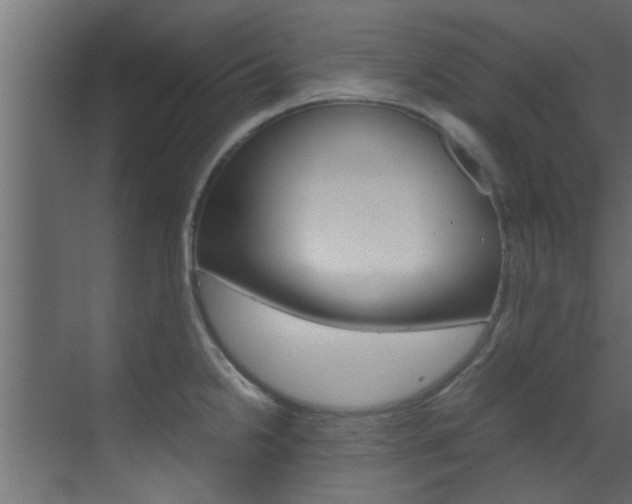 X0000070211238200605261053
