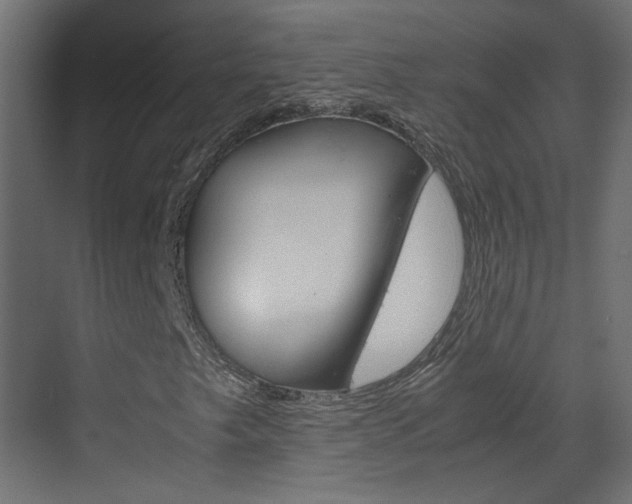 X0000070211249200605261053
