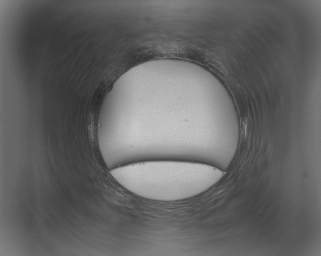 X0000070211251200605261053