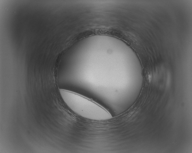 X0000070211252200605261053