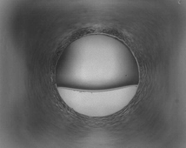 X0000070211253200605261053