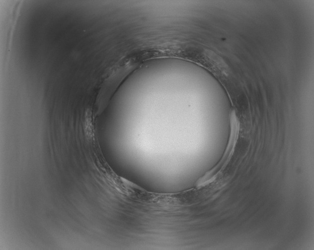 X0000070211298200605261051