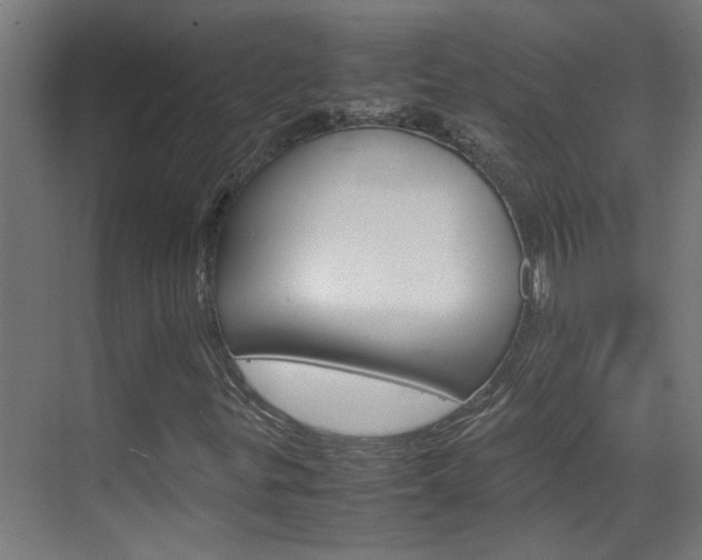 X0000070211299200605261051