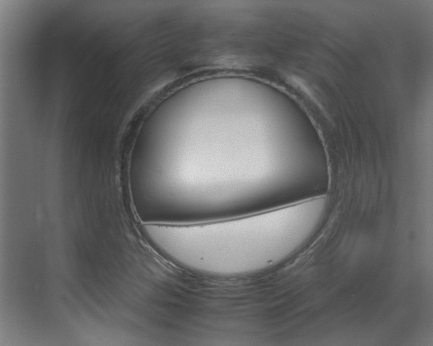 X0000070211307200605261051