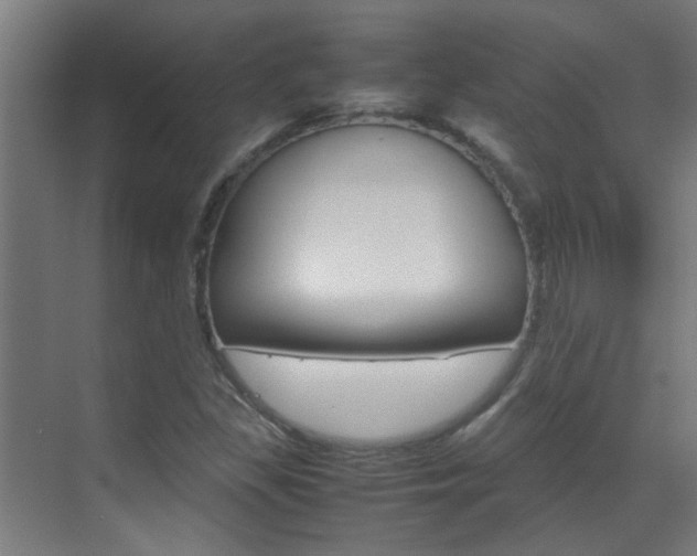 X0000070211309200605261051