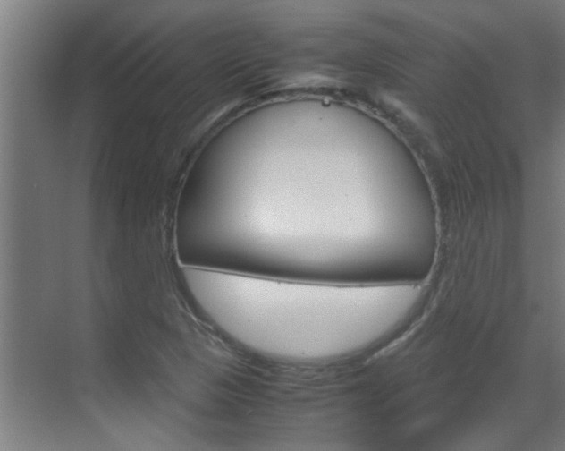 X0000070211313200605261052