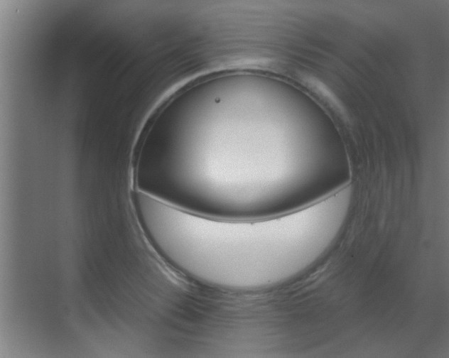 X0000070211324200605261052