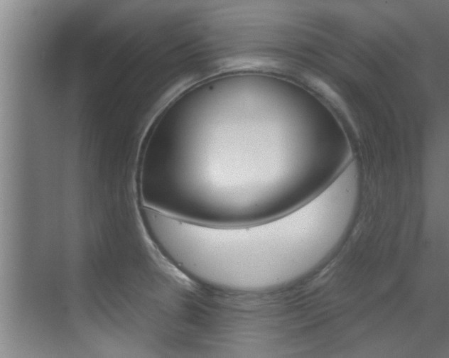 X0000070211330200605261052