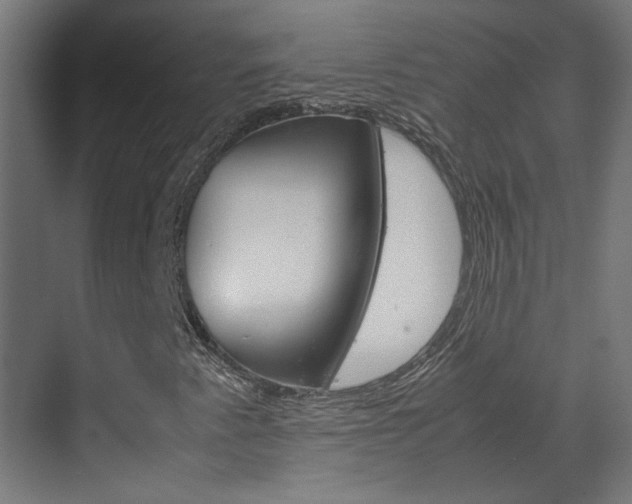 X0000070211345200605261051