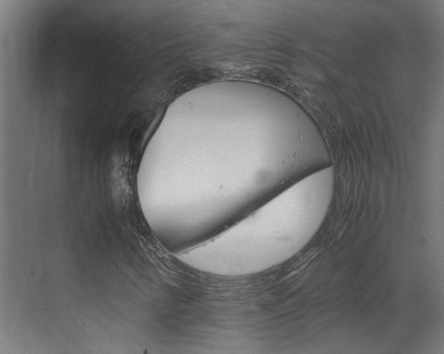 X0000070211346200605261051