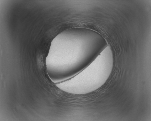 X0000070211347200605261051