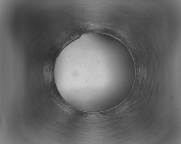 X0000070211348200605261051
