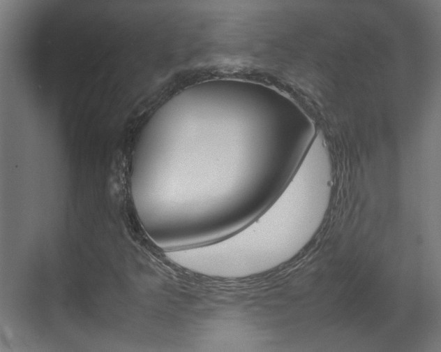 X0000070211349200605261051