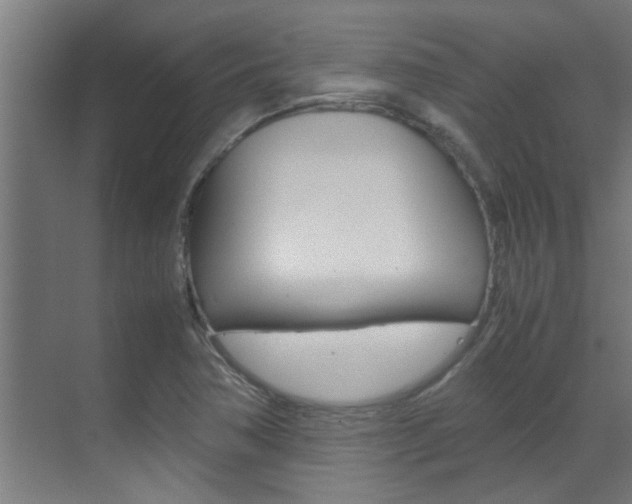 X0000070211362200605261051