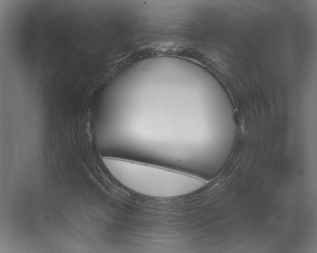 X0000070211396200605261050