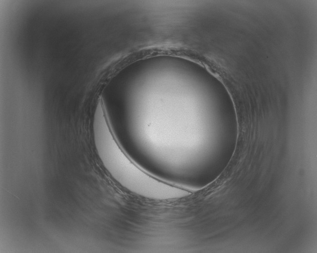 X0000070211398200605261050
