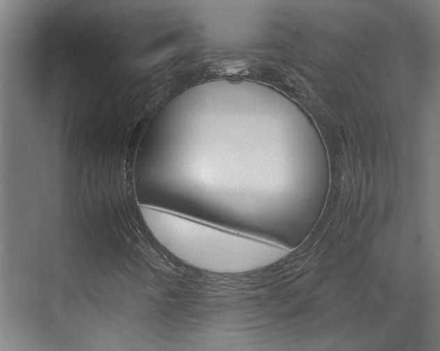 X0000070211442200605261050