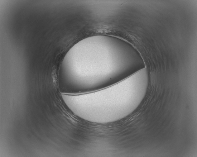 X0000070211444200605261050
